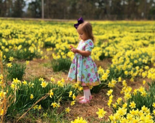 A young girl in a floral dress stands among a field of bright yellow daffodils, gently touching the flowers.