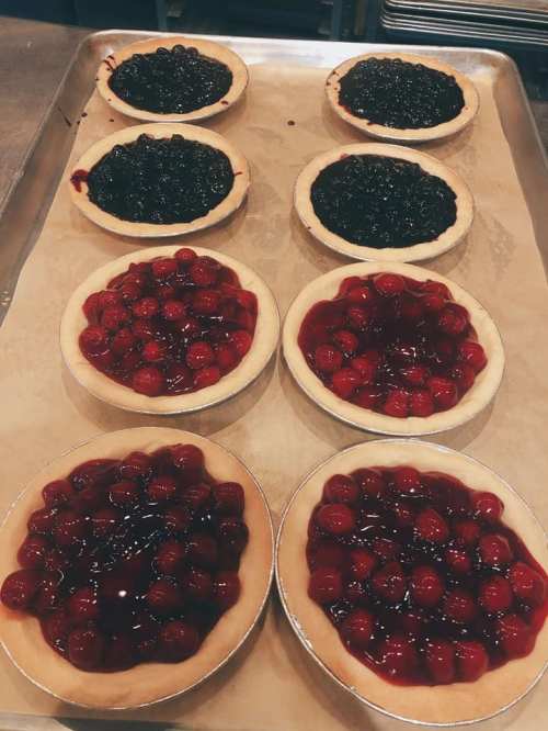 A tray of eight fruit pies: four with cherry filling and four with blueberry filling, all in golden crusts.