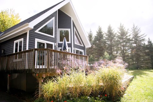 A modern black house with large windows, surrounded by greenery and tall grass, under a bright sky.
