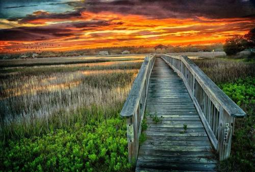 A wooden boardwalk leads through tall grass to a vibrant sunset over a calm marshland. Birds fly in the distance.