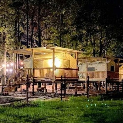 A cozy glamping site at night, featuring illuminated tents nestled among trees.