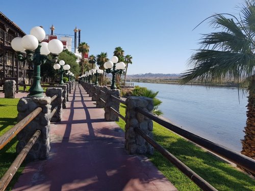 A scenic riverside walkway lined with palm trees and lampposts, with a clear blue sky in the background.