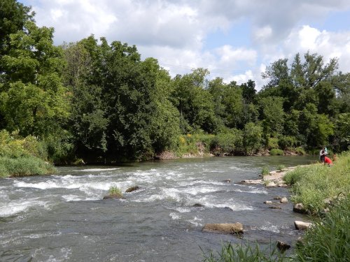 A serene river flows through a lush green landscape, with trees lining the banks and a person in the distance.
