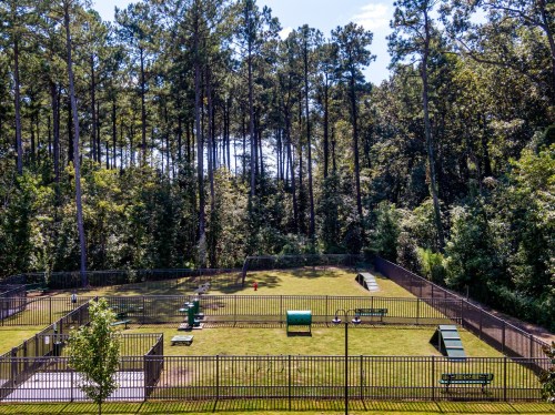 A spacious dog park with agility equipment, surrounded by tall trees and a clear blue sky.