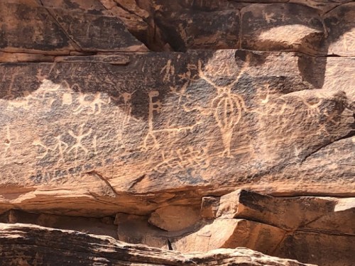 Petroglyphs carved into a rocky surface, featuring various abstract shapes and symbols.