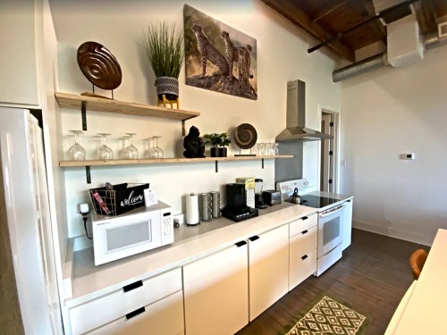Modern kitchen with white cabinets, a microwave, coffee maker, and decorative shelves featuring plants and artwork.