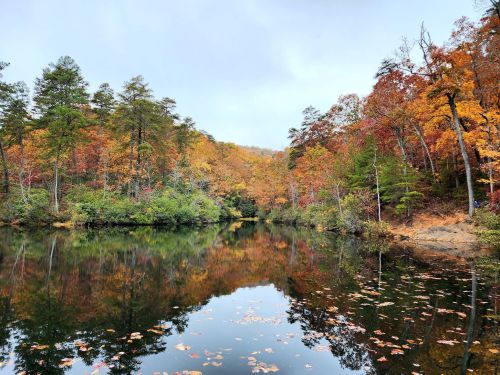 A serene lake surrounded by vibrant autumn foliage, reflecting colorful trees and a cloudy sky.