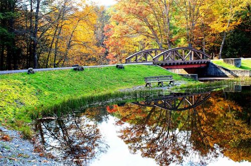 A wooden bridge over a calm pond, surrounded by vibrant autumn foliage and a grassy area with a bench.