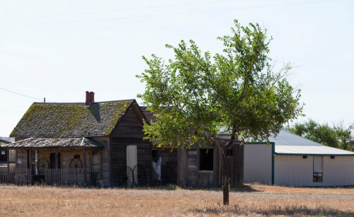 Abandoned wooden houses with a tree in the foreground, set in a dry, open field under a clear sky.