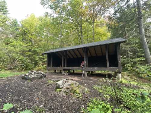 A rustic shelter in a wooded area, surrounded by trees and a small fire pit made of stones.