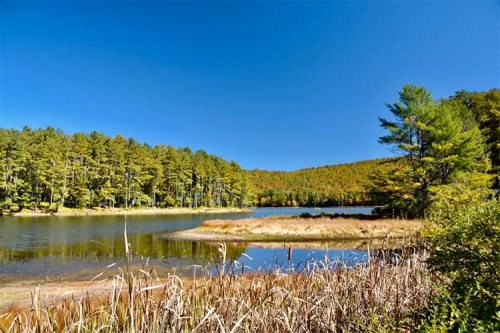 A serene lake surrounded by lush green trees and a clear blue sky, reflecting autumn colors in the water.