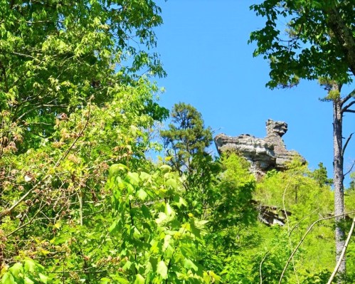 A rocky outcrop rises above lush green trees under a clear blue sky.