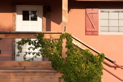 A wooden porch with a white door, surrounded by a peach-colored wall and green climbing plants.