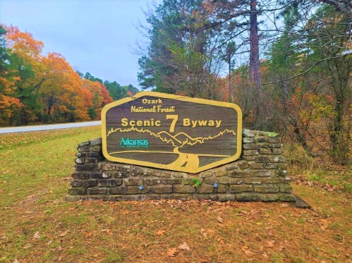 Sign for Scenic 7 Byway in Ozark National Forest, surrounded by autumn foliage and a winding road.