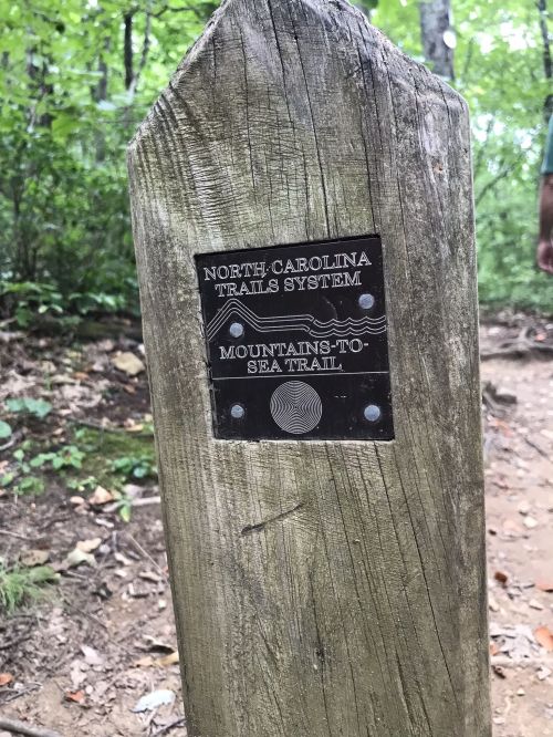 Signpost for the North Carolina Trails System, indicating the Mountains-to-Sea Trail in a wooded area.