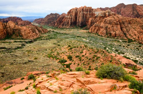 A scenic view of red rock formations and a lush valley under a cloudy sky in a desert landscape.