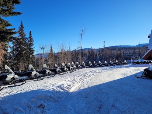 A row of snowmobiles parked on a snowy path, surrounded by trees and mountains under a clear blue sky.