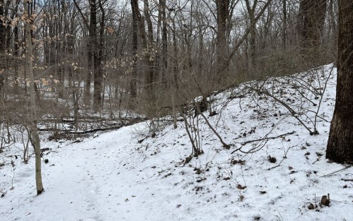 A snowy path winding through a bare forest with leafless trees and scattered branches.