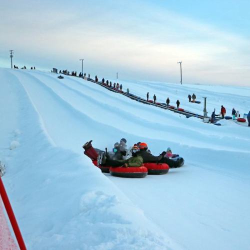 A snowy hill with people tubing down and a line of others waiting to go up, under a clear blue sky.