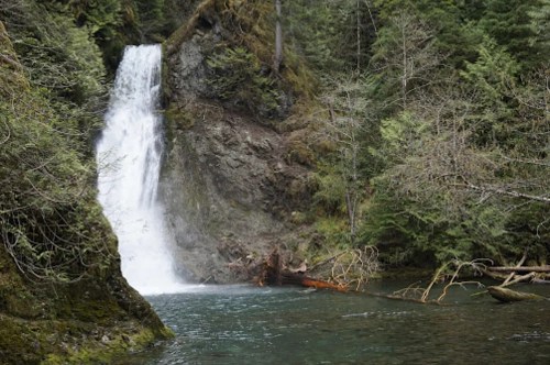 A serene waterfall cascades into a clear pool, surrounded by lush green trees and rocky terrain.