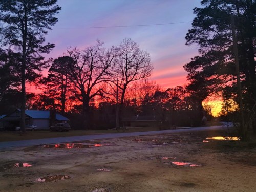 Vibrant sunset with pink and orange hues reflecting in puddles on a dirt road, surrounded by trees.