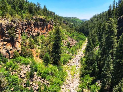 A scenic view of a rocky canyon surrounded by lush green trees under a clear blue sky.