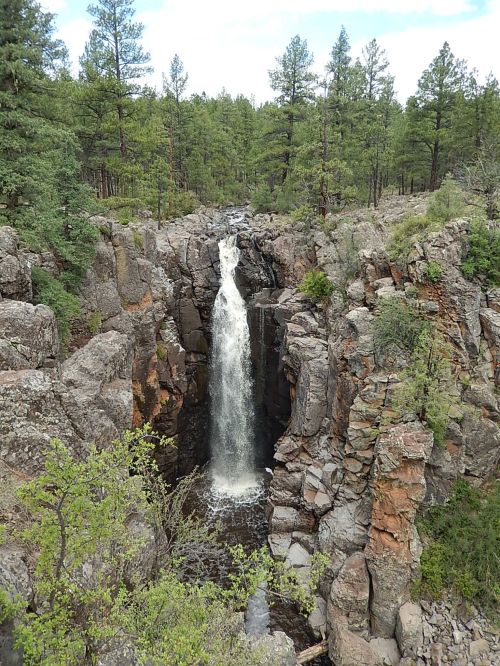 A waterfall cascades down rocky cliffs surrounded by lush green trees in a serene forest setting.