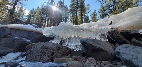 Icicles hang from a snowy ledge above rocky terrain, with tall trees and sunlight in the background.