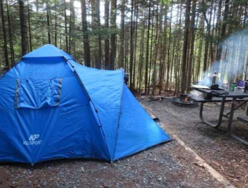 A blue tent set up in a wooded campsite, with a picnic table and a campfire nearby.