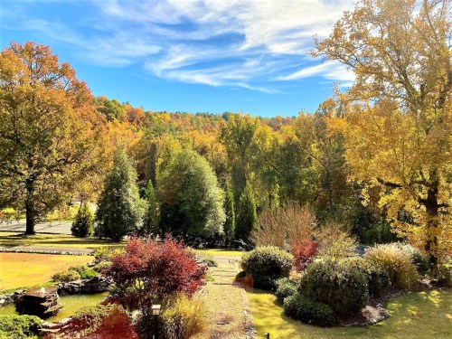 A vibrant autumn landscape with colorful trees and a clear blue sky, showcasing a serene garden view.