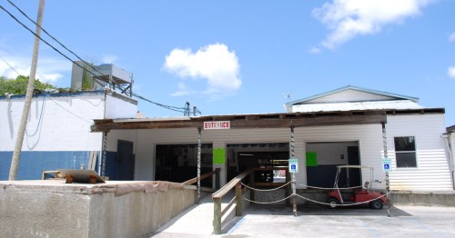 exterior of the freezer, a tiki bar and seafood restaurant in homosassa florida