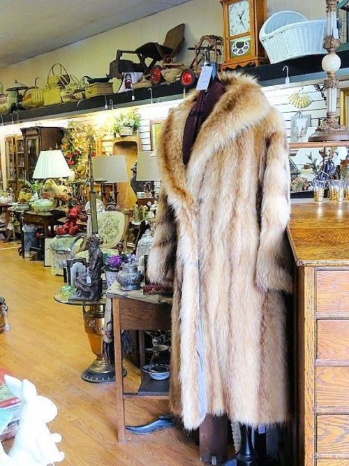 A vintage fur coat displayed in an antique shop, surrounded by various collectibles and furniture.