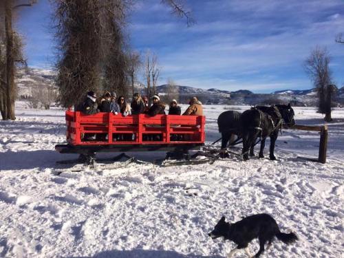 A red horse-drawn sleigh filled with people in a snowy landscape, with two horses and a dog nearby.