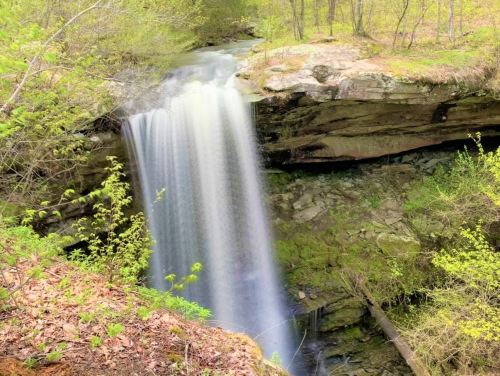 A serene waterfall cascading over rocks, surrounded by lush green foliage and trees in a peaceful natural setting.