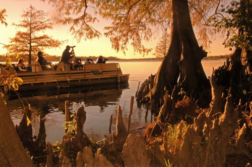 A boat with people is docked by a lake at sunset, surrounded by cypress trees and stumps.