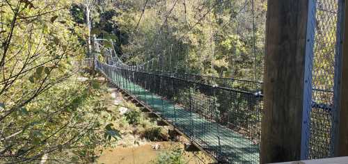 A suspension bridge stretches over a creek, surrounded by trees and greenery in a serene outdoor setting.