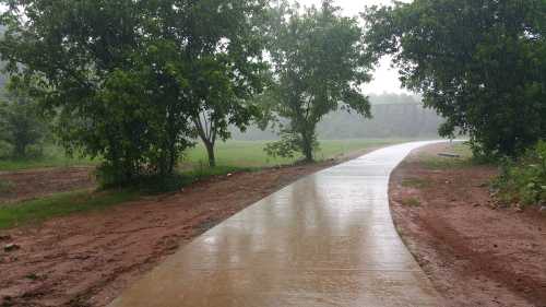 A wet, winding path through a green landscape, surrounded by trees, with heavy rain falling.