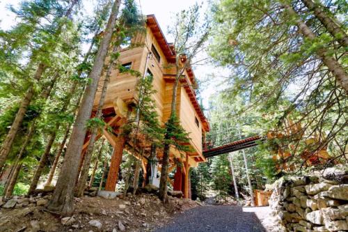 A unique wooden treehouse nestled among tall pine trees, connected by a bridge, surrounded by nature.