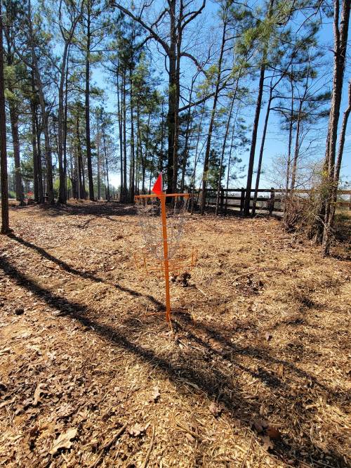 A disc golf basket with an orange flag stands in a wooded area, surrounded by tall trees and a clear blue sky.