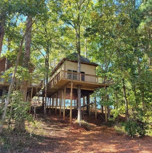 A treehouse nestled among tall trees, featuring a wooden deck and surrounded by lush greenery.