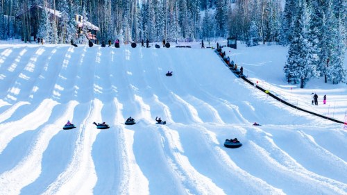 A snowy hill with people tubing down, surrounded by tall trees and a clear blue sky.