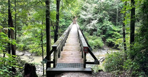 A wooden bridge stretches over a creek, surrounded by lush green trees and foliage.