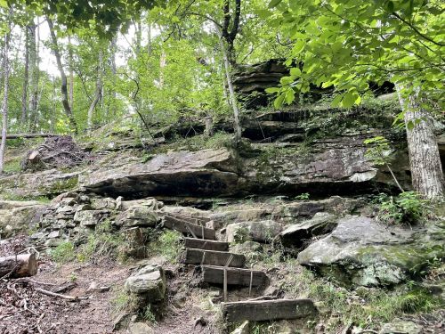 A rocky path with wooden steps leads through a lush green forest with trees and moss-covered rocks.