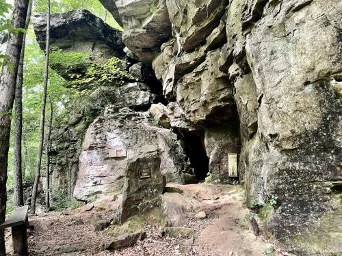 A rocky cave entrance surrounded by lush greenery and trees in a forested area.