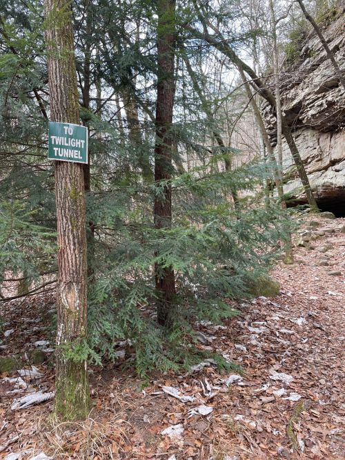 A sign reading "To Twilight Tunnel" next to a tree in a wooded area with rocky terrain and fallen leaves.