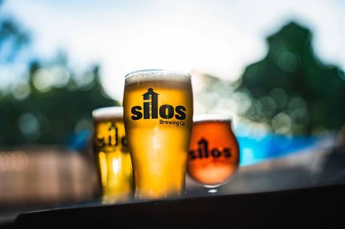 Three glasses of beer with the "Silos Brewing Co" logo, set against a blurred outdoor background.