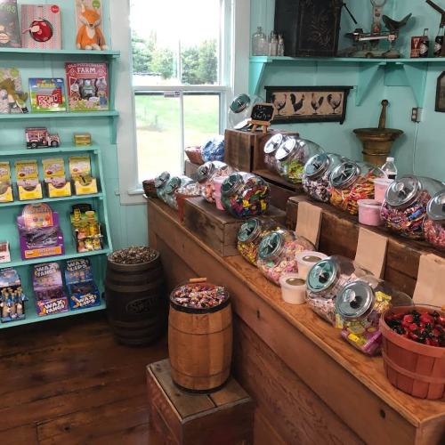 A colorful shop interior with shelves of candy jars, toys, and vintage decor, featuring wooden barrels and bright walls.