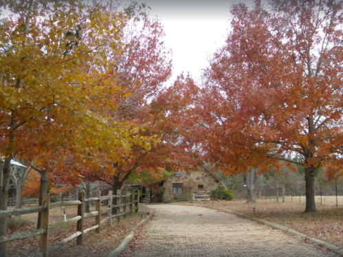 A scenic pathway lined with vibrant autumn trees in shades of orange and yellow, leading to a rustic stone building.