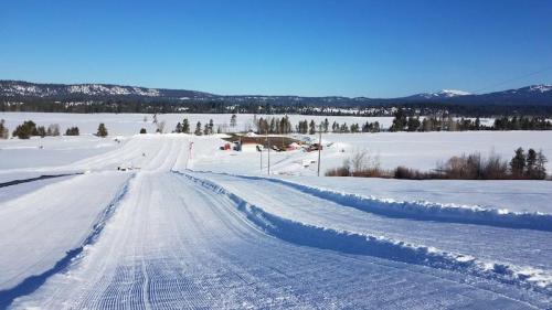 A snowy landscape with groomed ski trails, trees, and distant mountains under a clear blue sky.