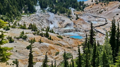 A geothermal area with steam vents, colorful mineral deposits, and a wooden walkway surrounded by pine trees.